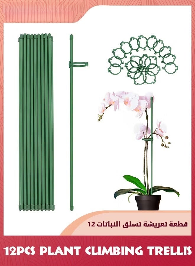 النبات تسلق التريليس,مصارف النبات الخضراء الحديقة القابلة للتعديل مصارف دعم النبات الجذع الواحد,12pcs عصا دعم النبات مع خواتم للنباتات الداخلية والخارجية,الزهور,الطماطم,12 بوصة,, - Image 1